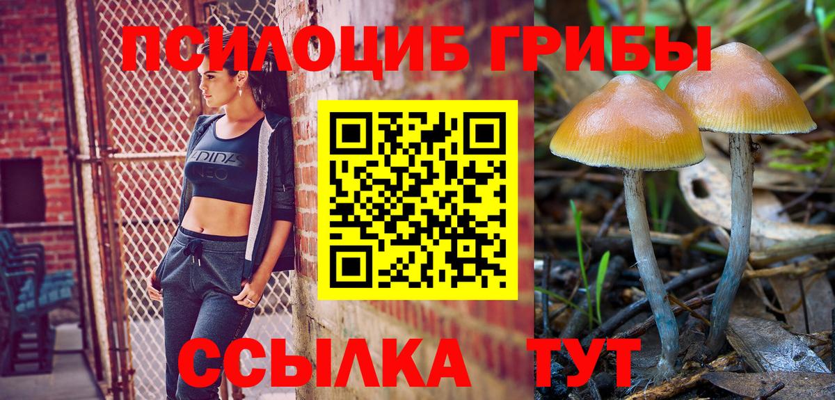 Ставрополь  Галлюциногенные грибы Cubensis  Вход с VPN 
